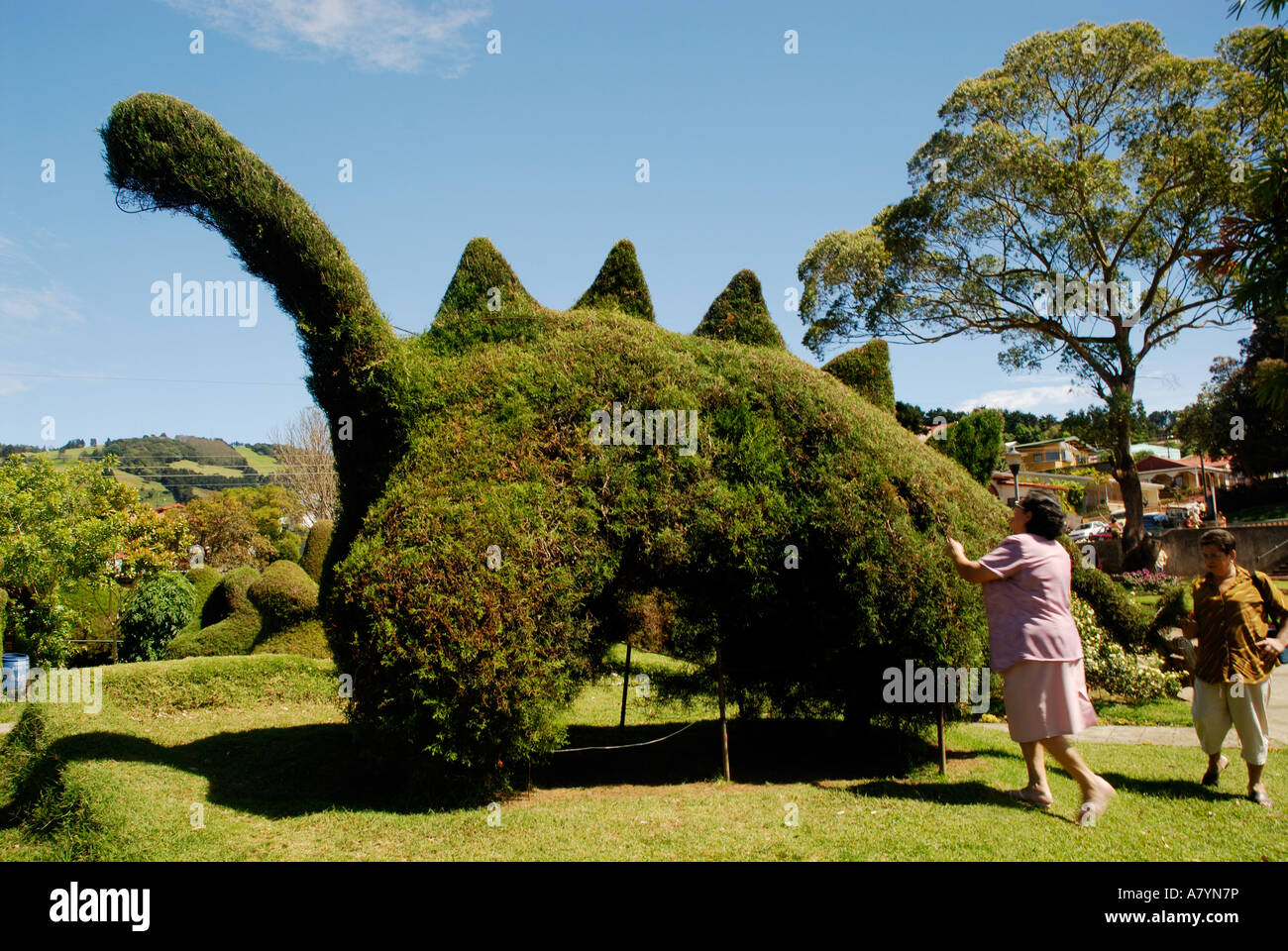 Costa Rica, Zarcero, topiary dinosaur Stock Photo