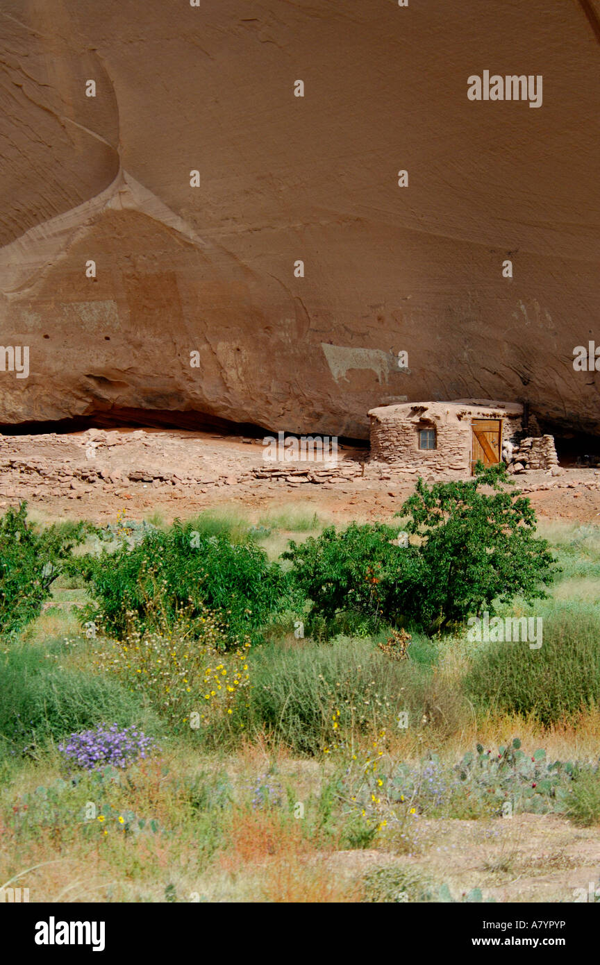 Arizona, Navajo Indian Reservation, Chinle, Canyon de Chelly National