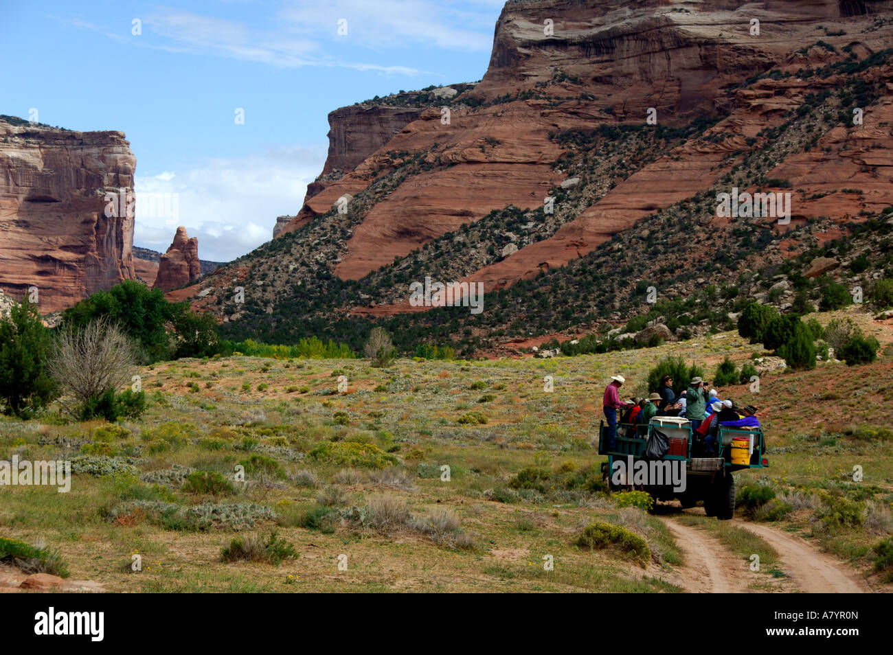 North America, USA, Arizona, Navajo Indian Reservation, Chinle, Canyon
