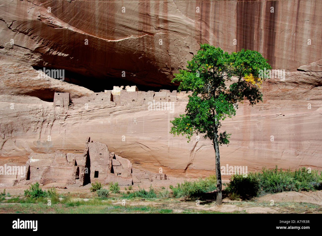North America, USA, Arizona, Navajo Indian Reservation, Chinle, Canyon
