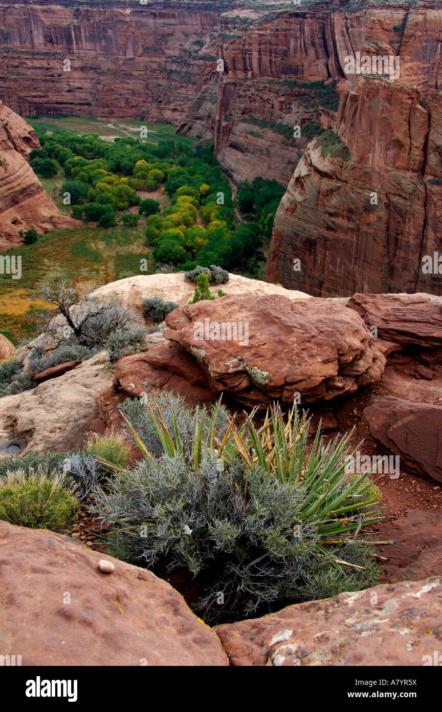 Arizona, Navajo Indian Reservation, Chinle, Canyon de Chelly National