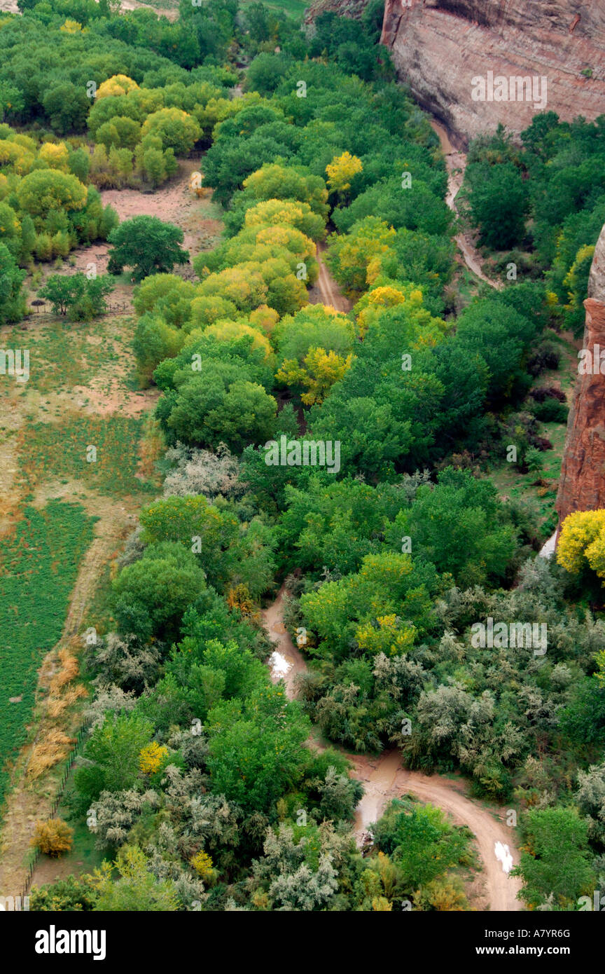 Arizona, Navajo Indian Reservation, Chinle, Canyon de Chelly National