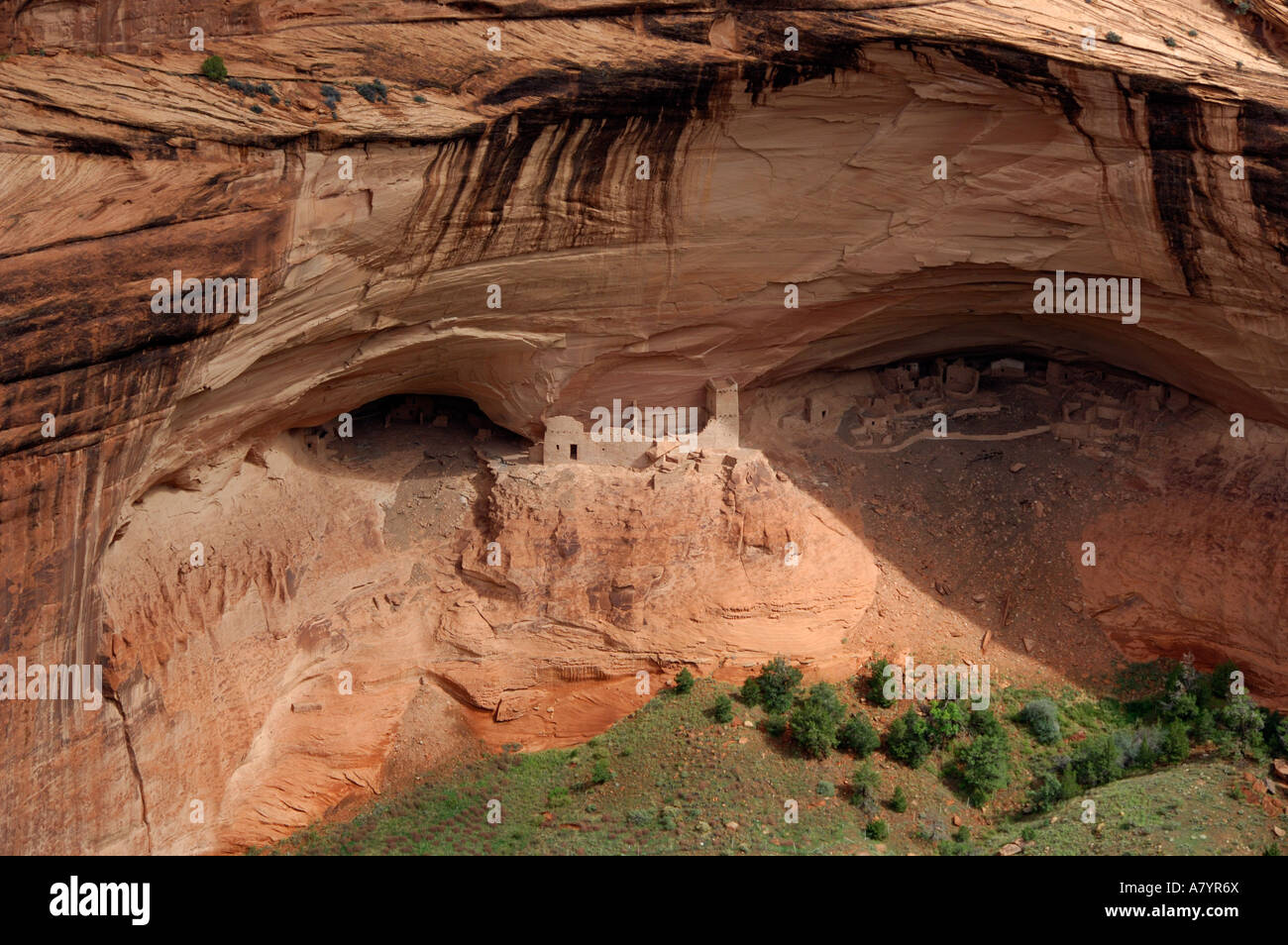 North America, USA, Arizona, Navajo Indian Reservation, Chinle, Canyon