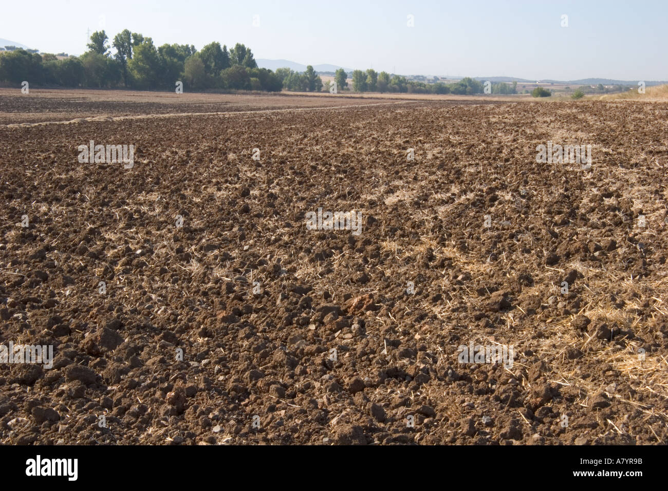Fallow land plant hi-res stock photography and images - Alamy