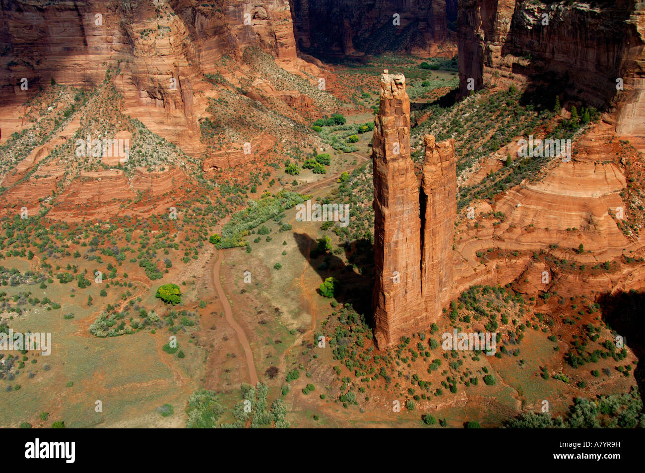 North America, USA, Arizona, Navajo Indian Reservation, Chinle, Canyon