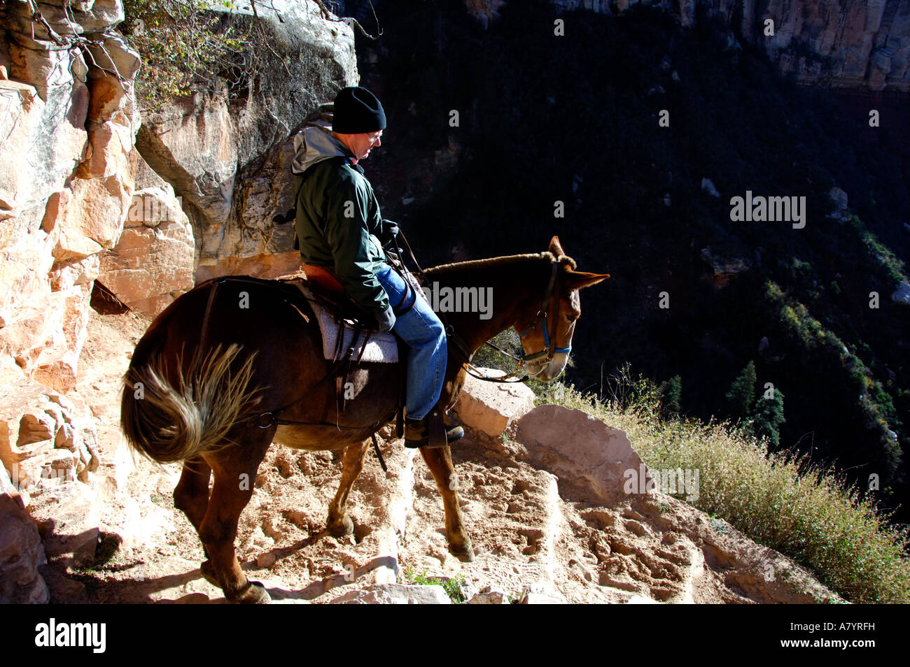 North America, USA, Arizona, Grand Canyon National Park, North Rim ...
