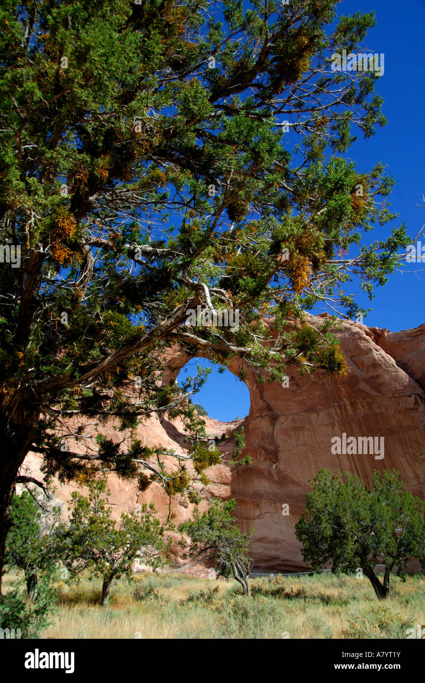 Arizona, Window Rock. Capital of the Navajo nation & seat of tribal