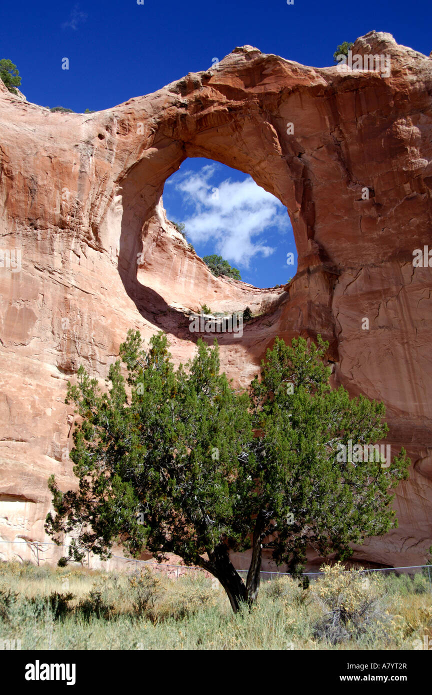 Arizona, Window Rock. Capital of the Navajo nation & seat of tribal