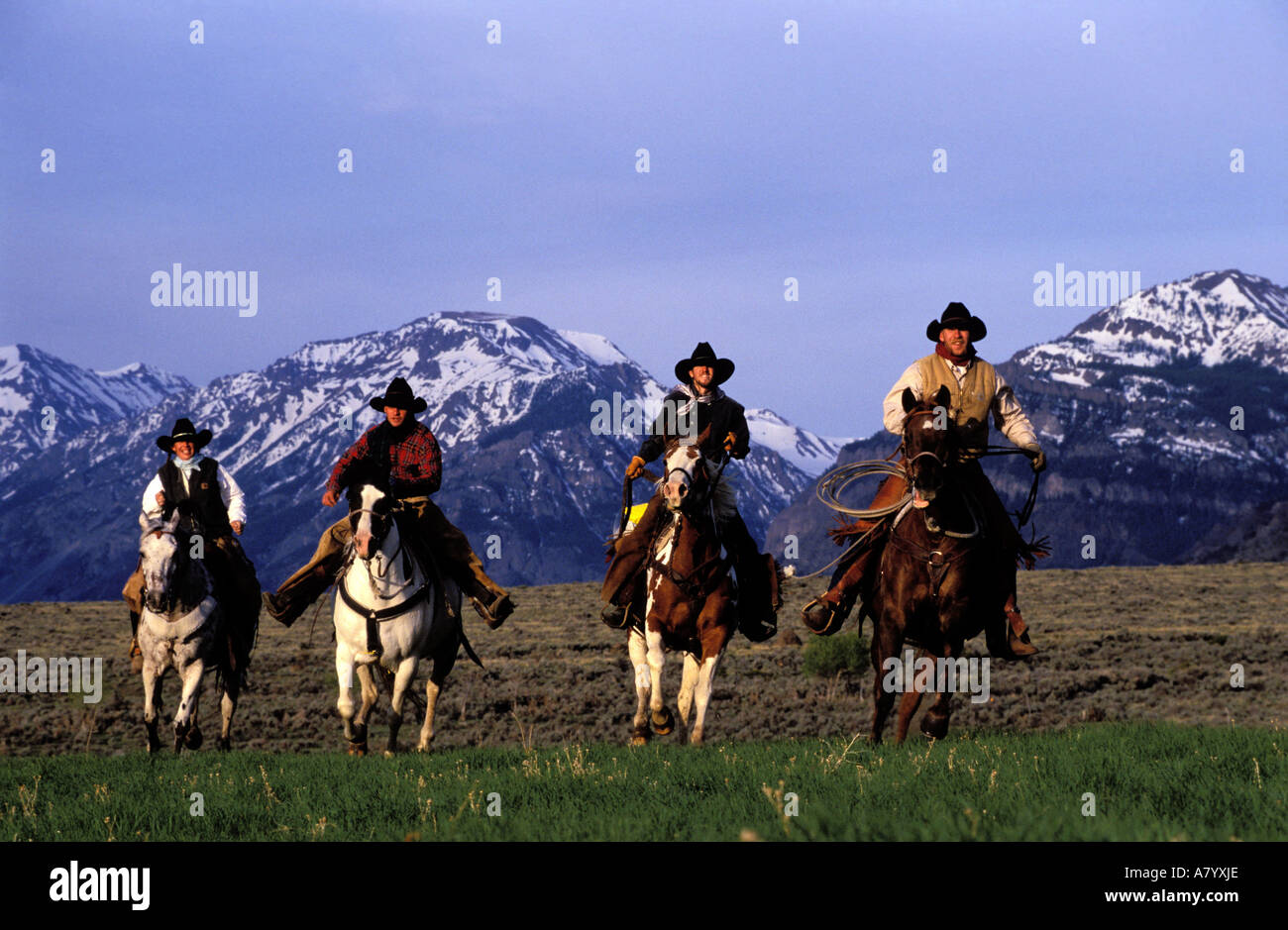United States, Wyoming, Cody town, Double Diamond X ranch, ride at bottom of the Absaroka mounts range Stock Photo