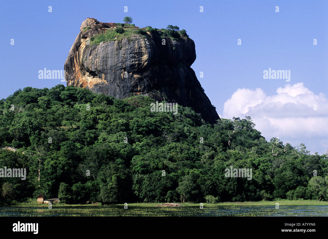 Sri Lanka, North Central region, Sigiriya, Lion rock (200m) fortress Palace built in jungle by king Kasyapa in 5th century Stock Photo