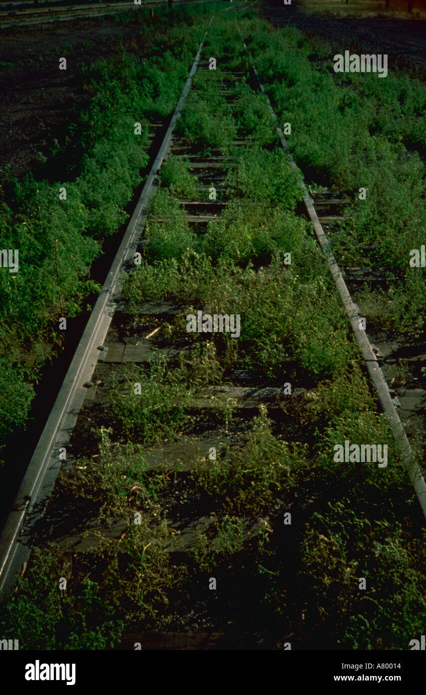 Abandoned railroad overgrown weeds hi-res stock photography and images ...