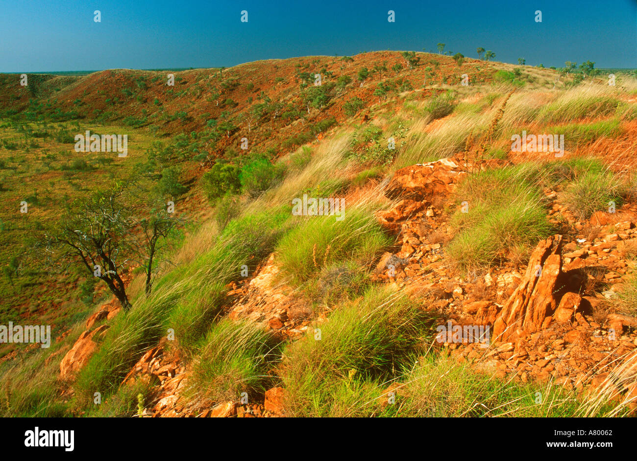 AUSTRALIA WESTERN AUSTRALIA WOLFE CREEK CRATER NATIONAL PARK The worlds second largest meteorite crater located within the ou Stock Photo