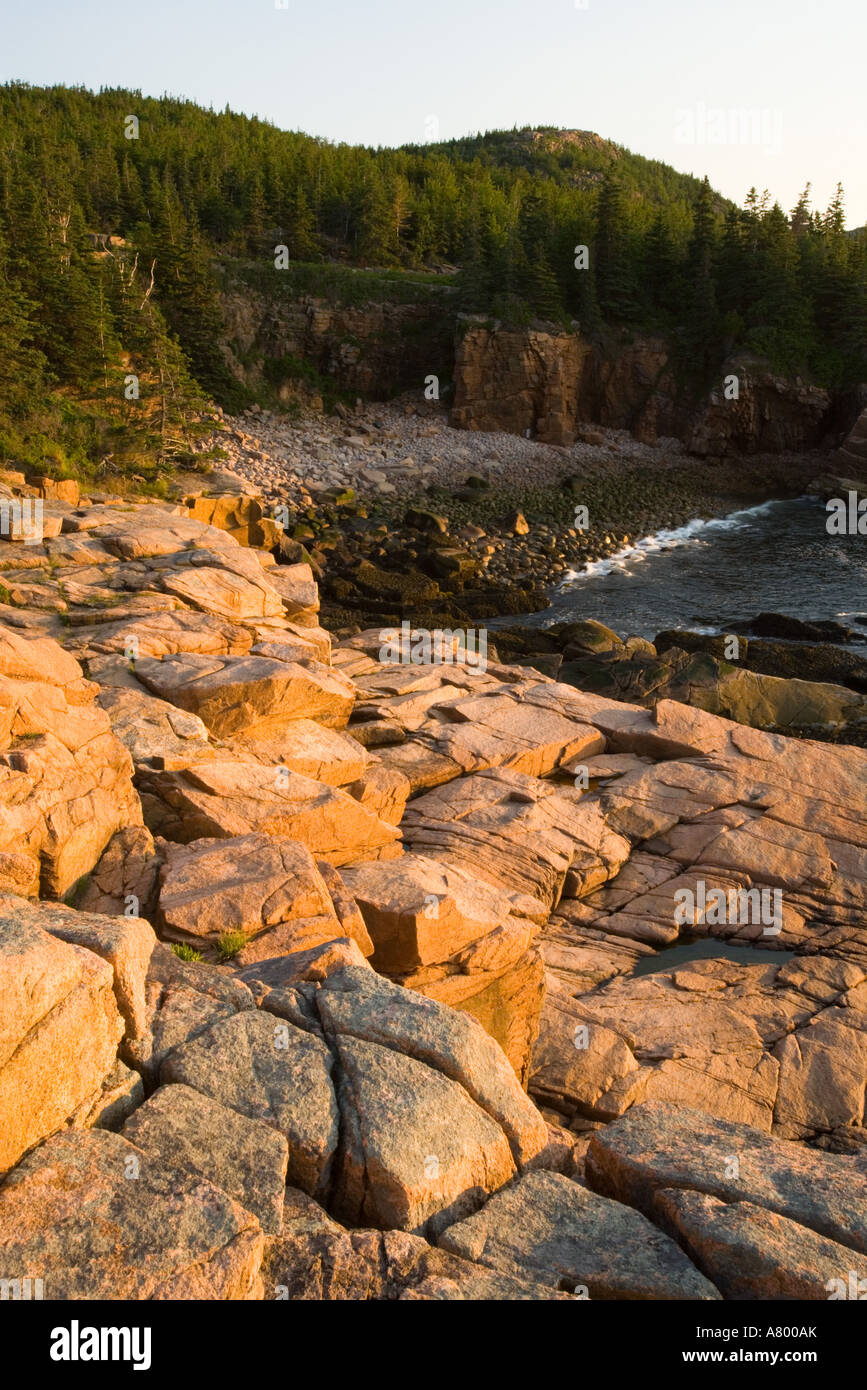 Early morning on the rock ledges of Acadia National Park Maine USA ...