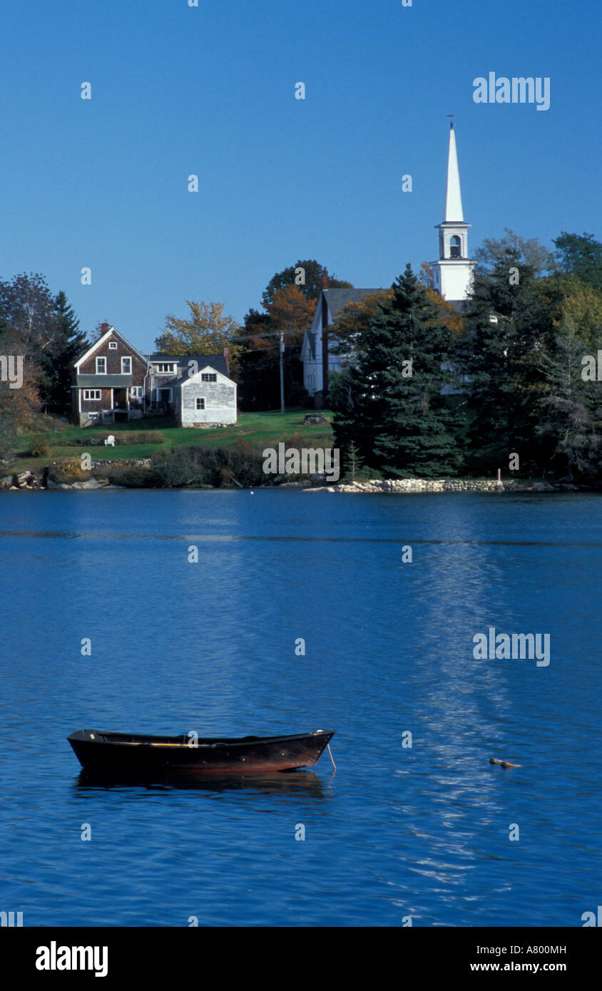 Barters Island, Boothbay, ME. A small spruce tree grows among blueberry
