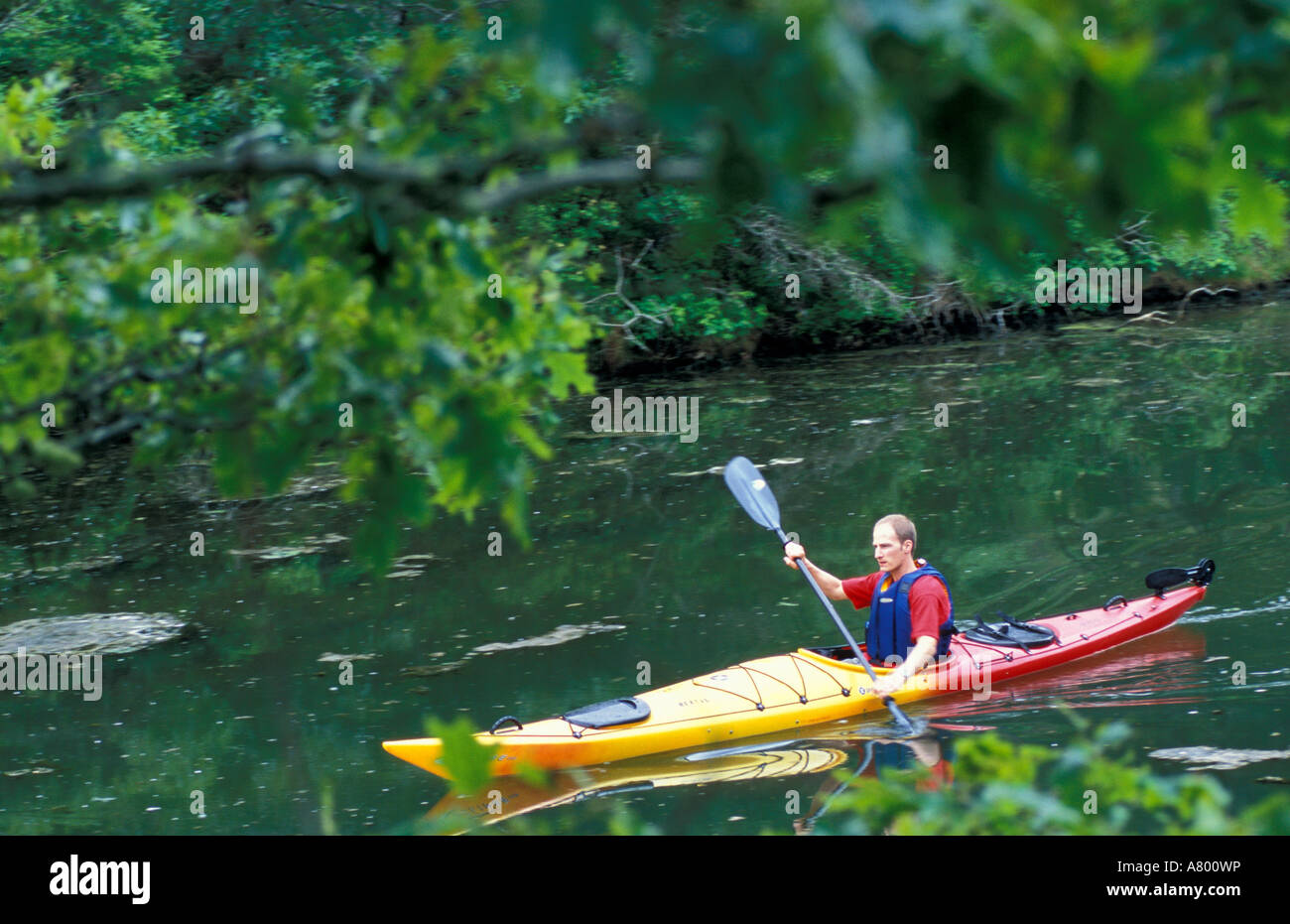 Harwich, MA. Kayaking on the Monomoy River which is the border between