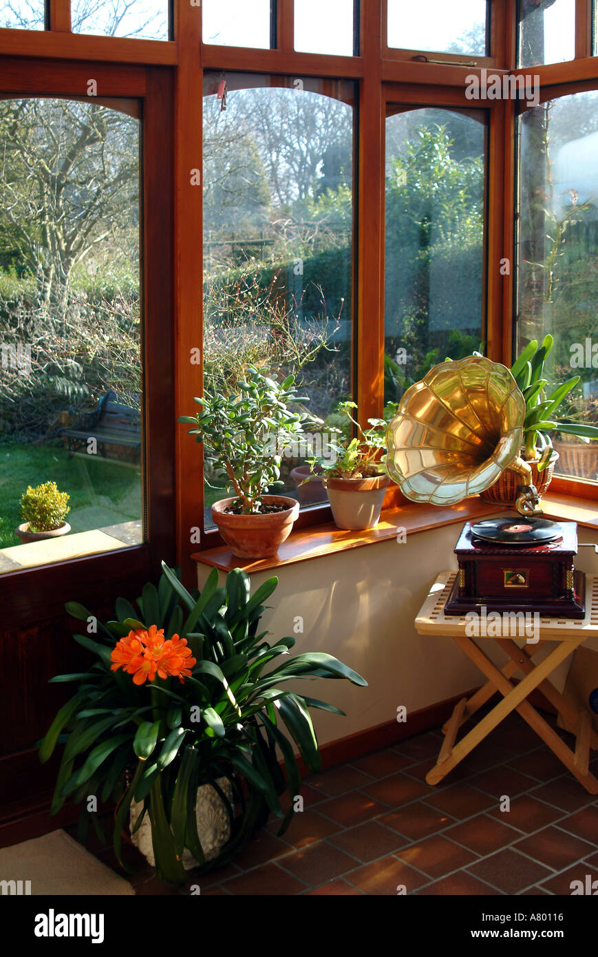 Home conservatory plants uk hi-res stock photography and images - Alamy