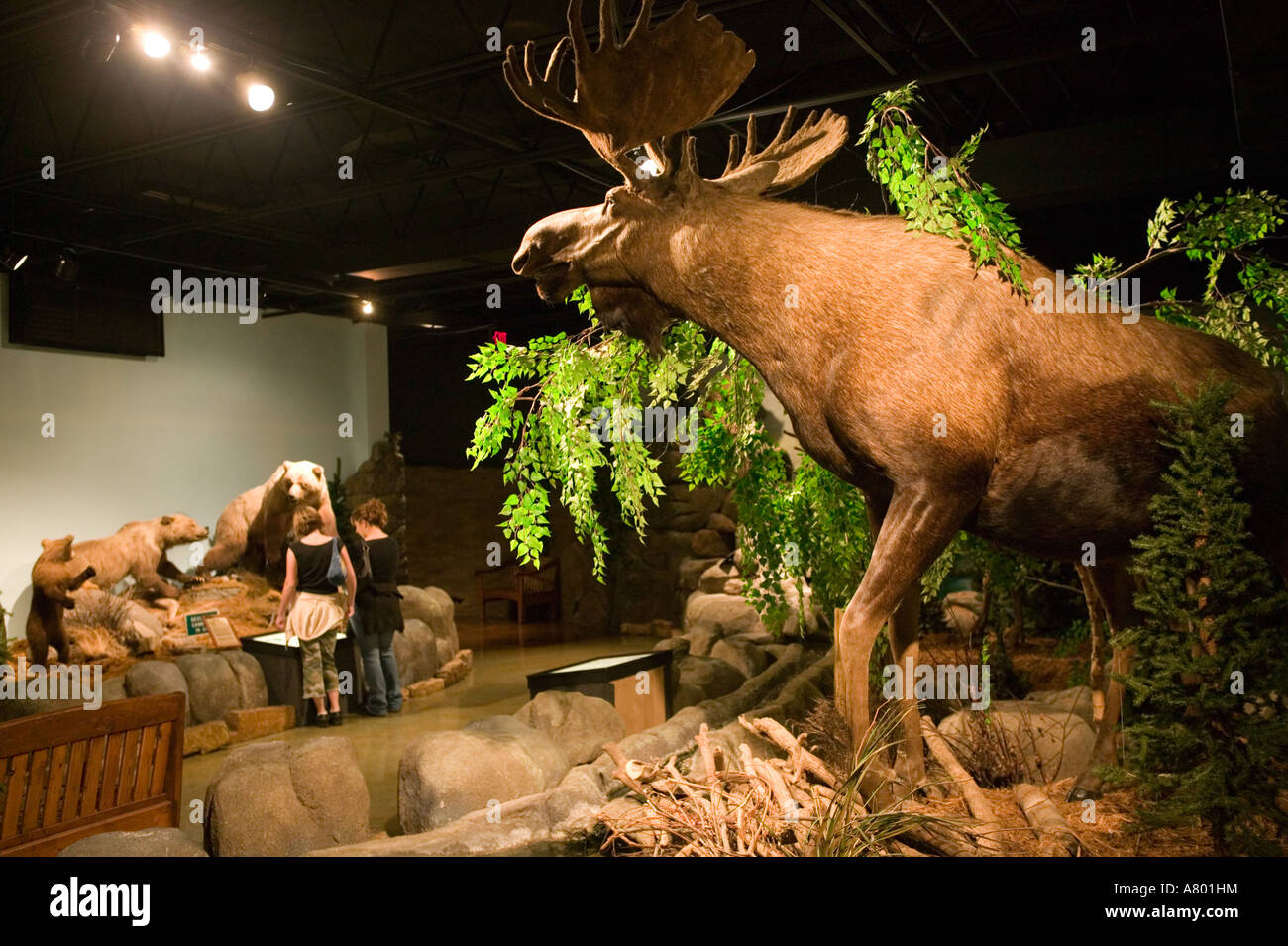 Vintage NWOT Bass Pro Shops Springfield MO, Bass Pro Shop Springfield Mo