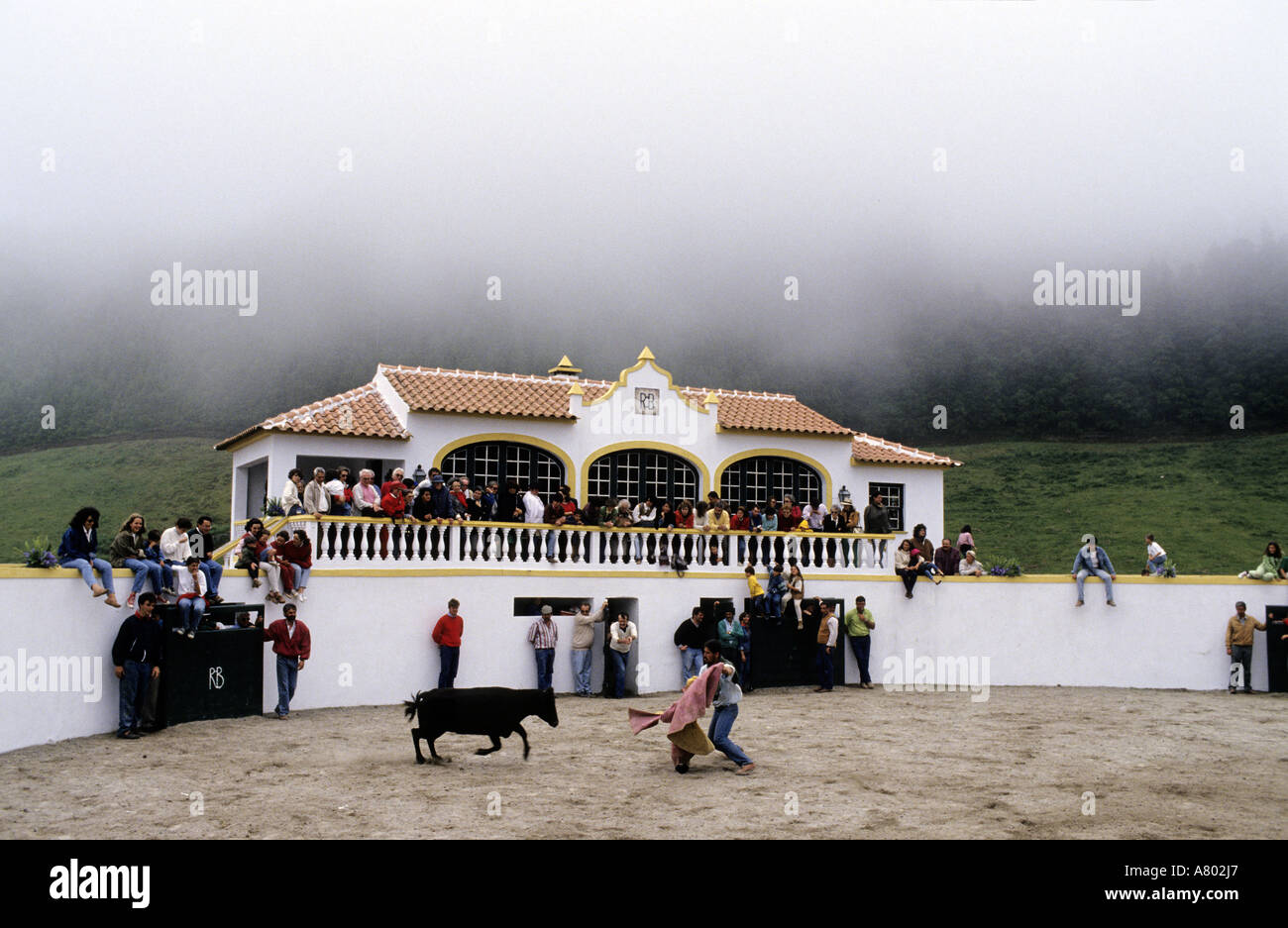 Portugal, the Azores, Terceira Island, bullfight in a private arena Stock Photo