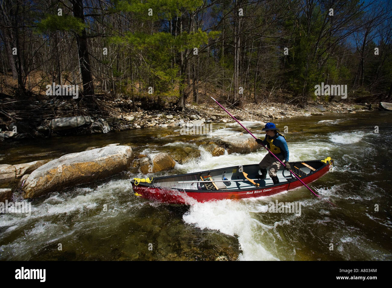 Poling a canoe on the Ashuelot River in Surry, NH. A tributary of the