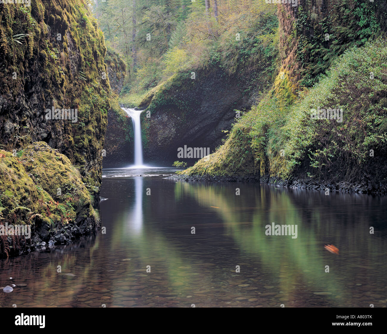 Punch Bowl Falls, Eagle Creek, Columbia River Oregon Stock Photo