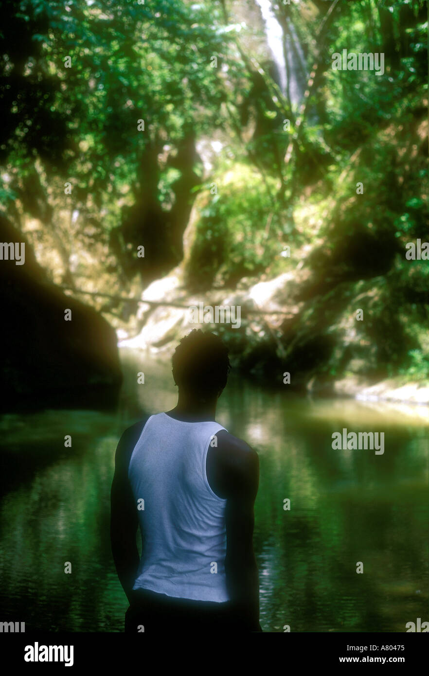 Black man in white singlet looking at Argyll Waterfall Tobago West Indies Caribbean Stock Photo