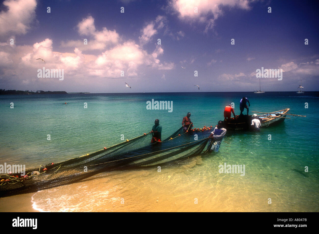 Tobago Caribbean West Indies Small Fishing Stock Photo 1285451149