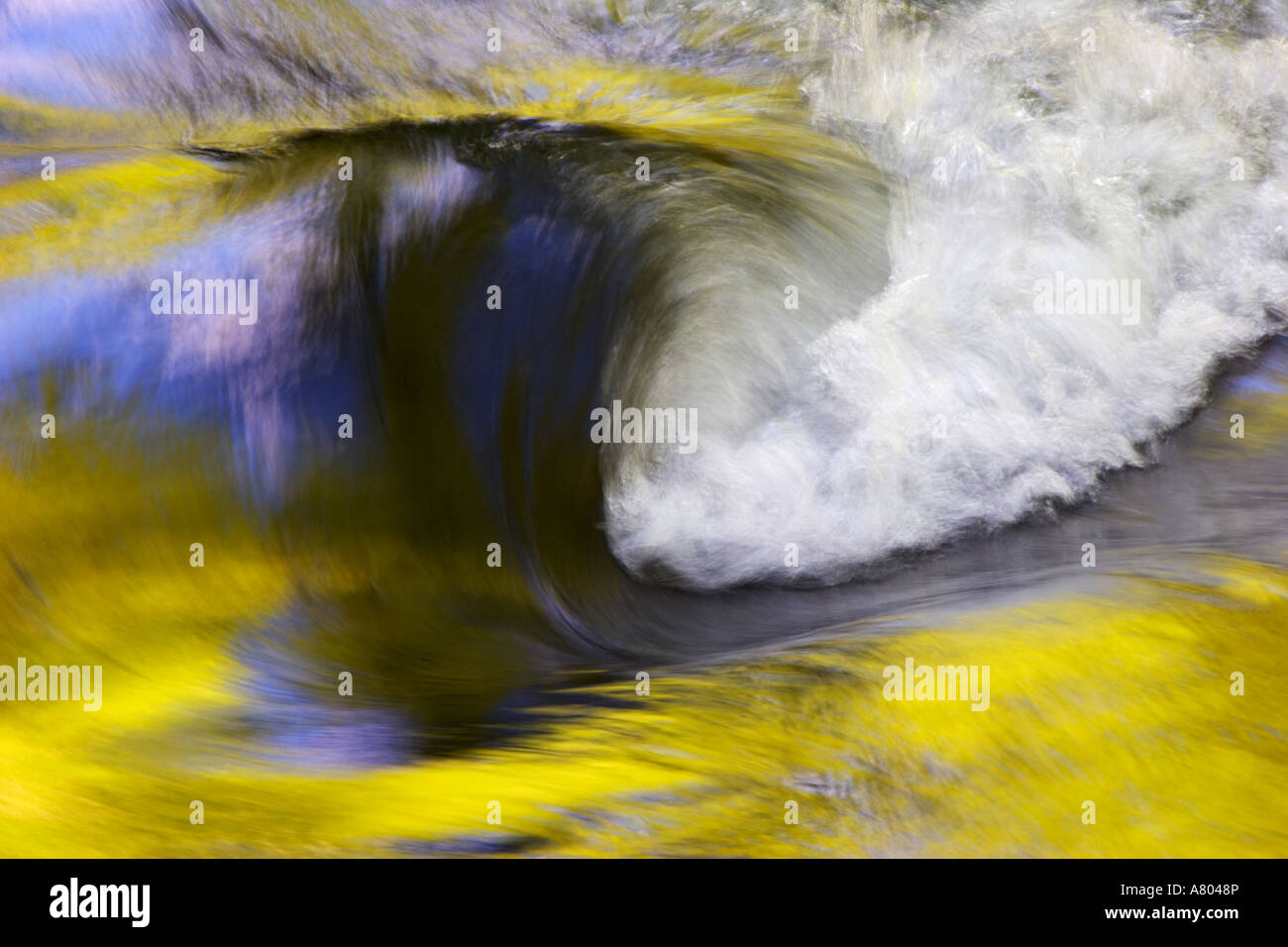 USA; Tennessee; Great Smoky Mountain NP; Stream abstract with ...