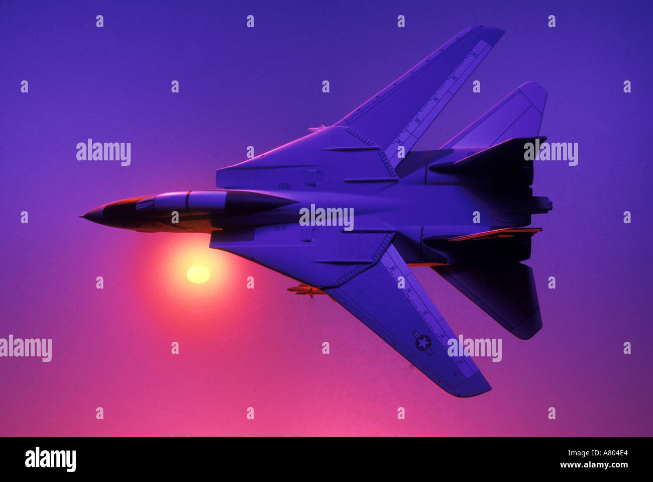 F 14 Tom Cat jet fighter aircraft model Stock Photo