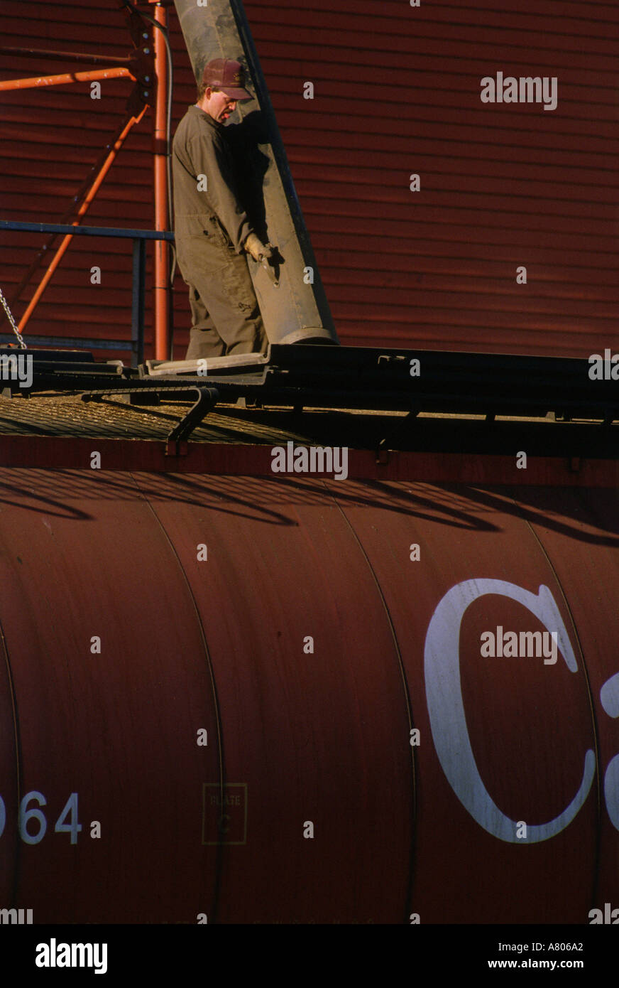 Grain elevator operator filling grain train Stock Photo Alamy