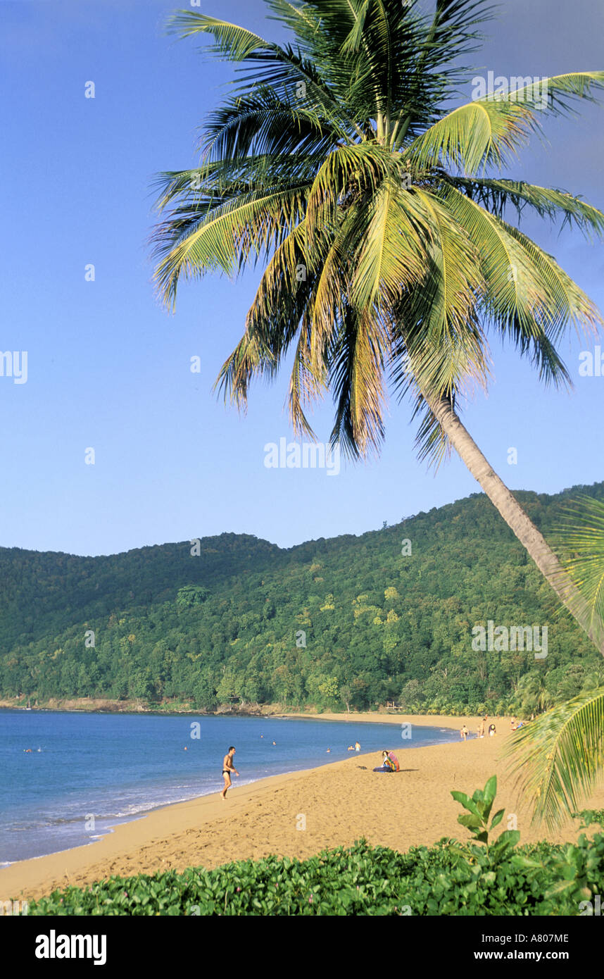 France, Guadeloupe (French West Indies), Basse Terre, Deshaies, Grande Anse beach Stock Photo