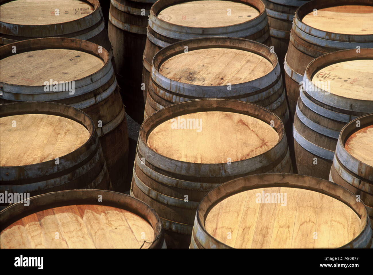 Oak Wine Barrels Gibbston Valley Wines Gibbston Valley Central Otago