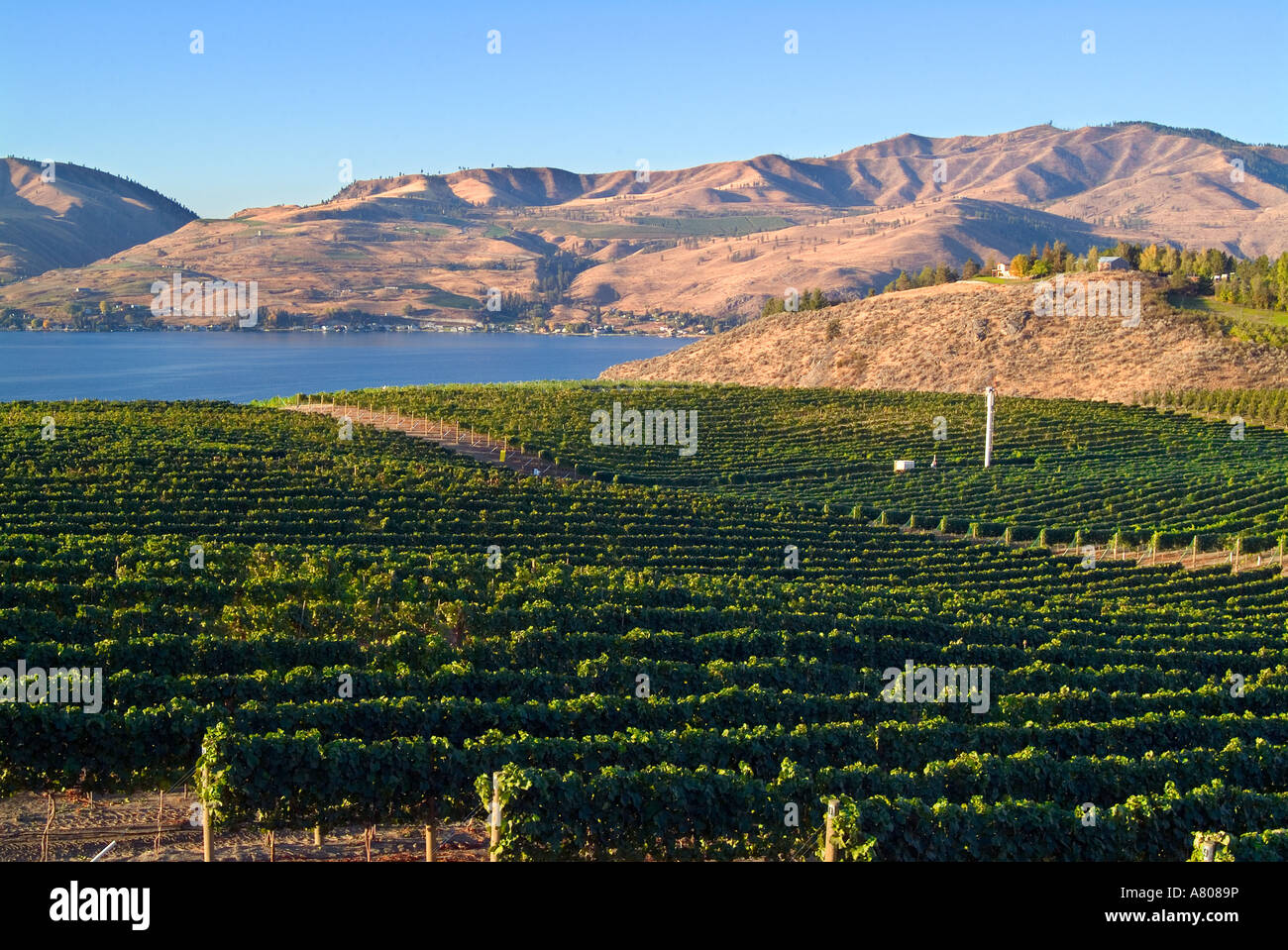Wine Country Lake Chelan Wineries Map Lake Chelan Wine Valley 2025