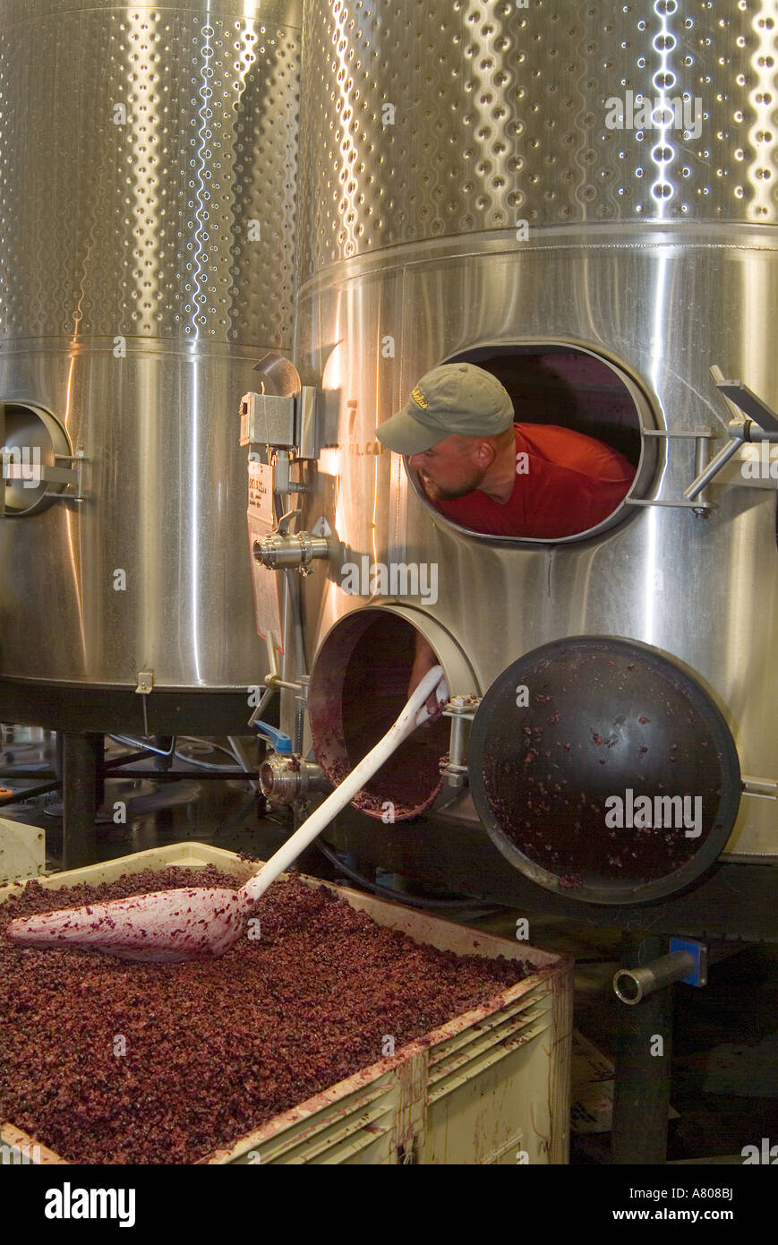 Worker sticking his head and shovel out from inside a stainless steel