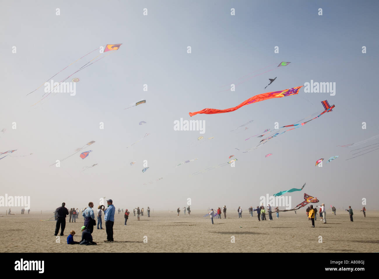WA, Long Beach, International Kite Festival, Mass Ascension of flat and