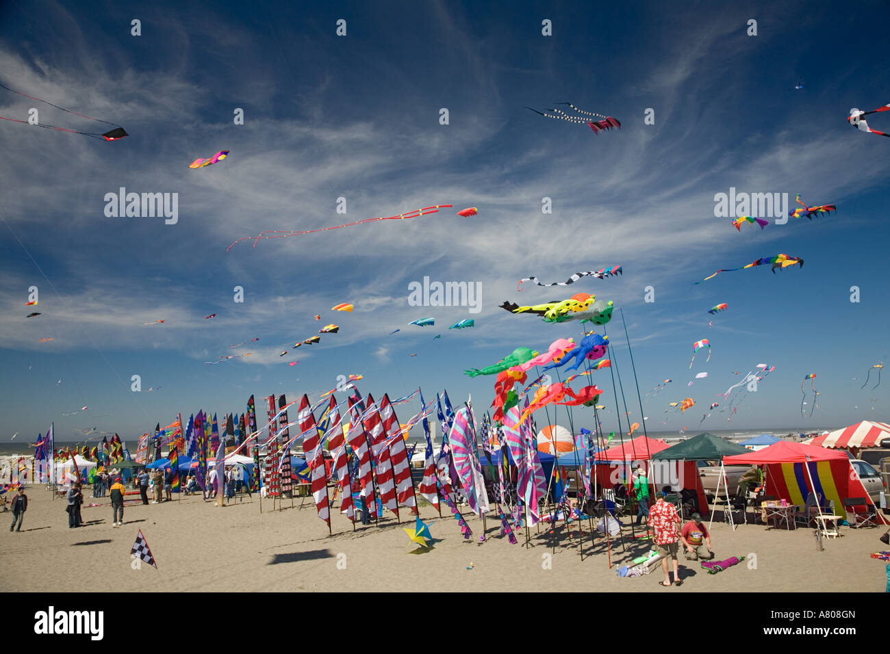 Long Beach International Kite Festival 2025 Live Mara Stacey