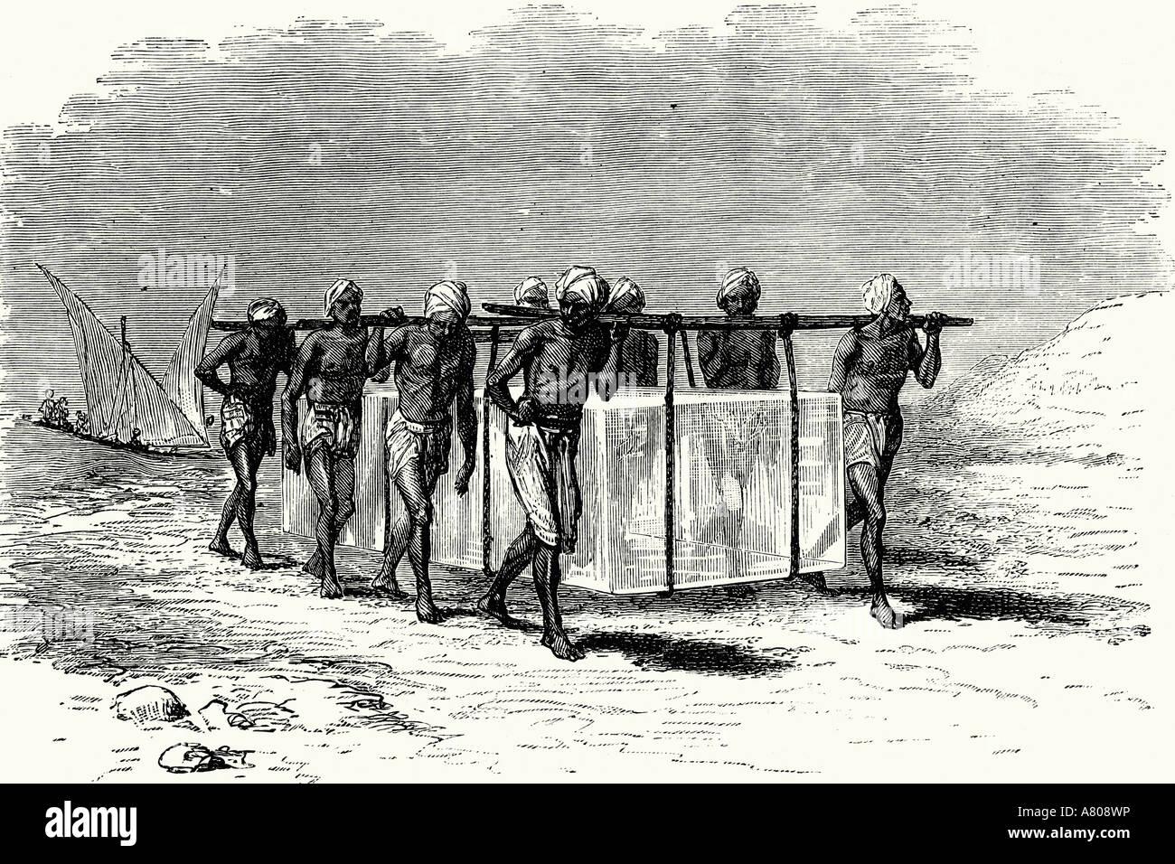Bombay. American ice transported by indigenous people.  Antique illustration. 1882 Stock Photo