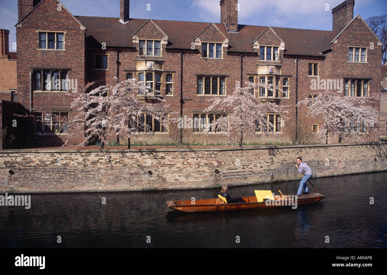 Punting on the River Cam in front of Magdalene College in spring Cambridge England Great Britain Stock Photo