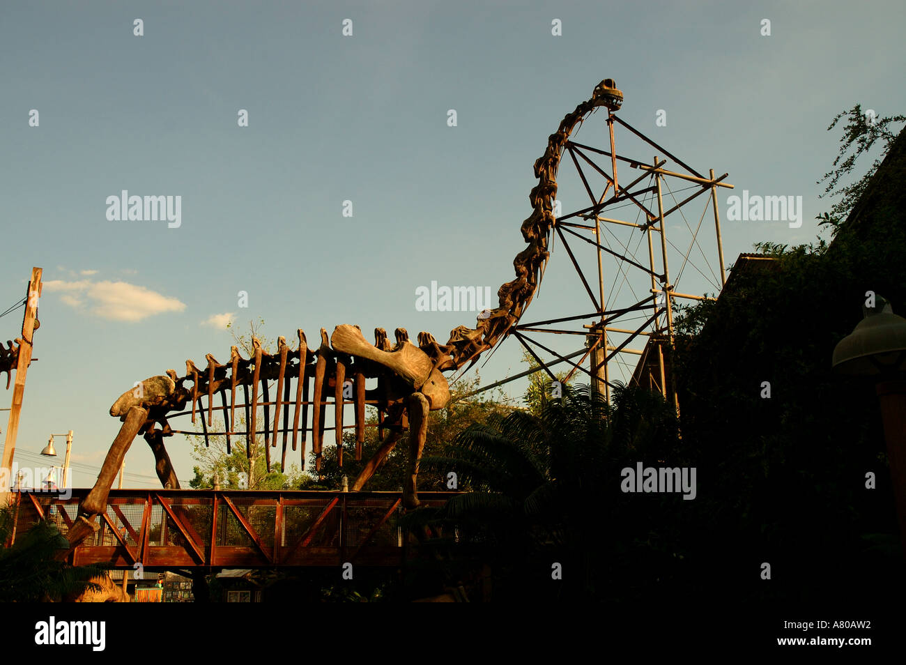 360º Ride on DINOSAUR at Disney's Animal Kingdom 