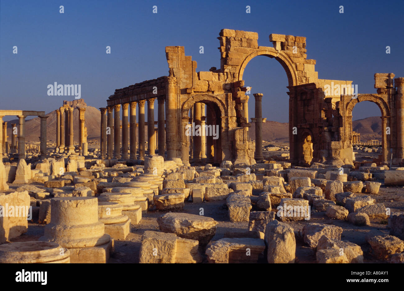 Syria, Palmyra, Great Colonnade Stock Photo Alamy