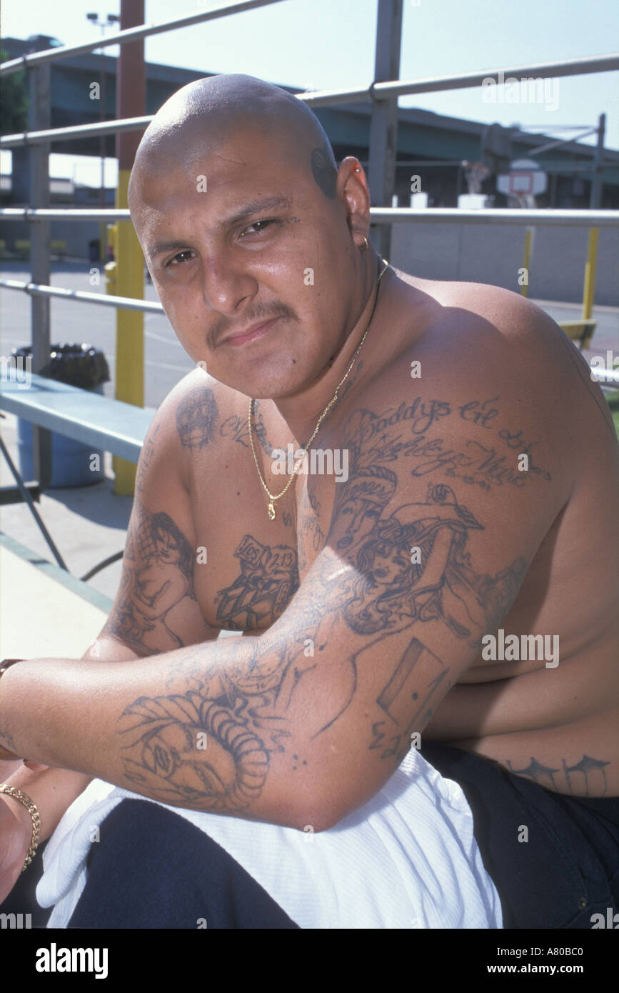 Latino gangs Los Angleles United States of America Stock Photo Alamy