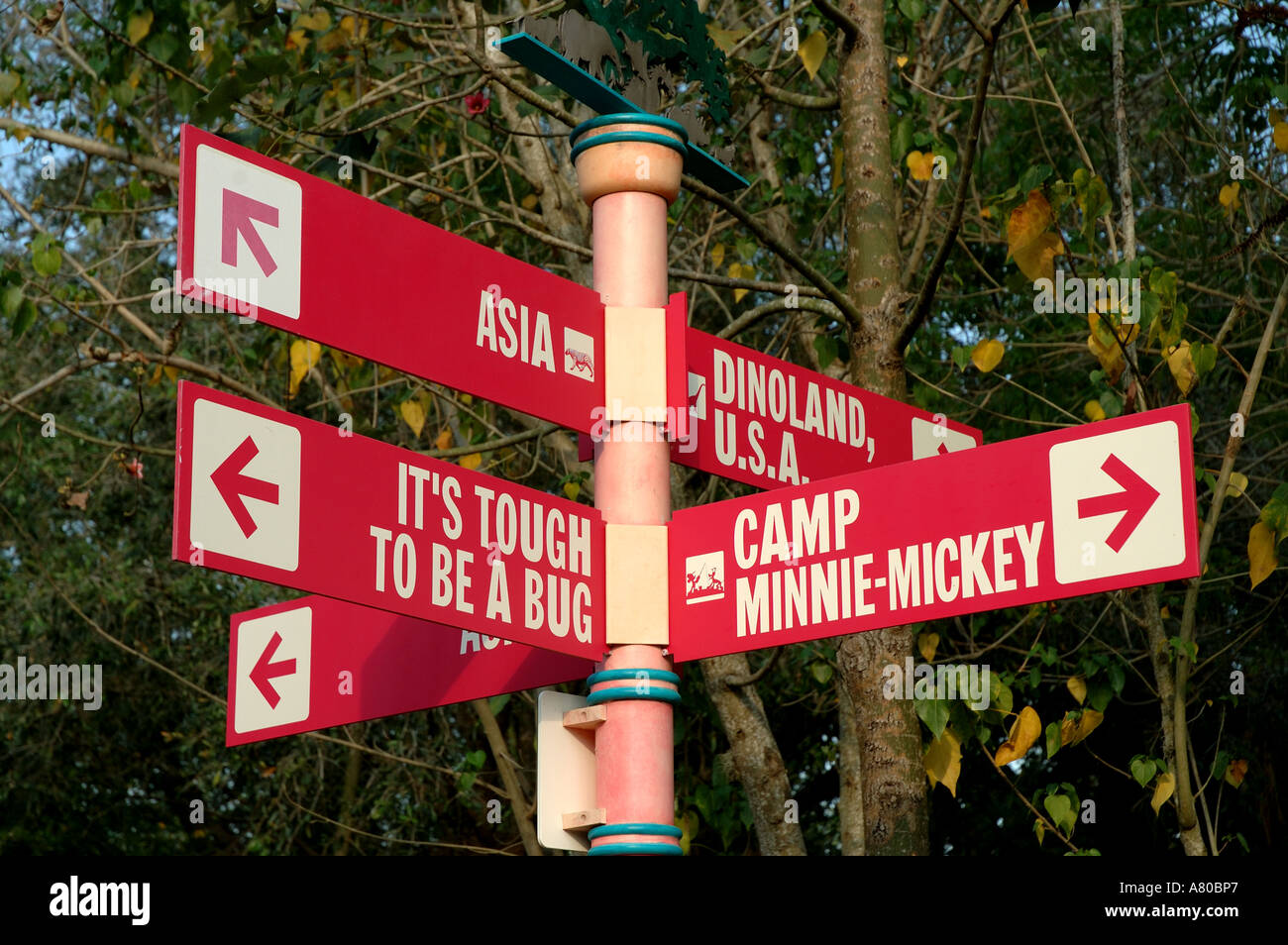 Disney s Animal Kingdom directional signs Stock Photo Alamy