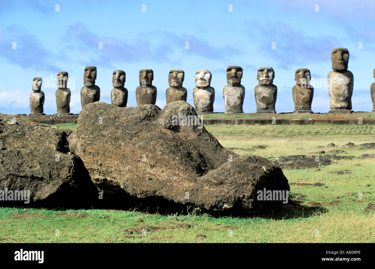 Chile, Easter Island, line of Moai statues (giants carved out of rocks