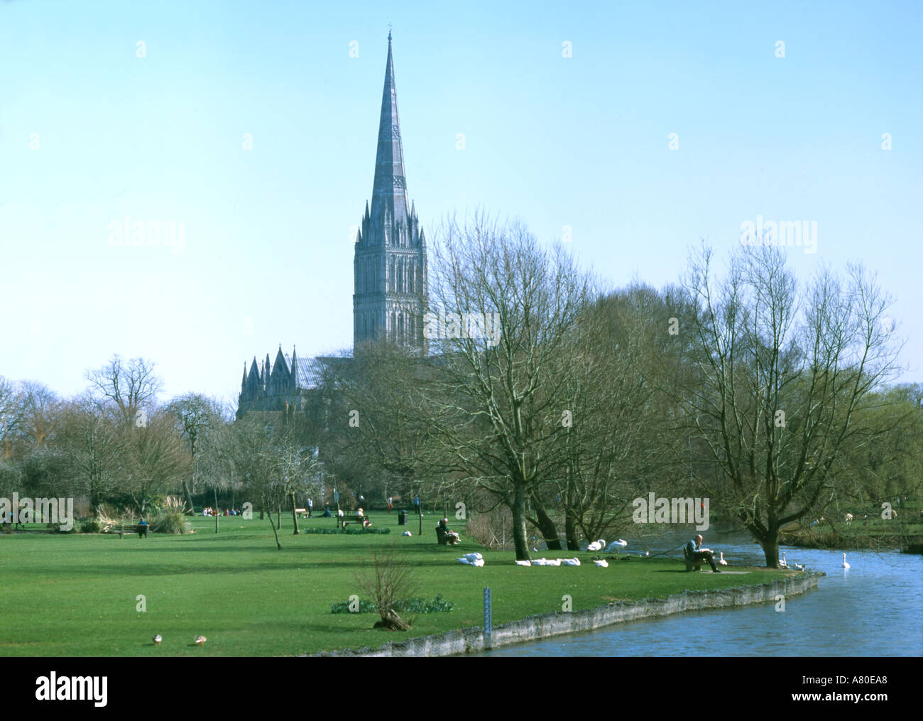 England Salisbury Meadows cathedral Stock Photo