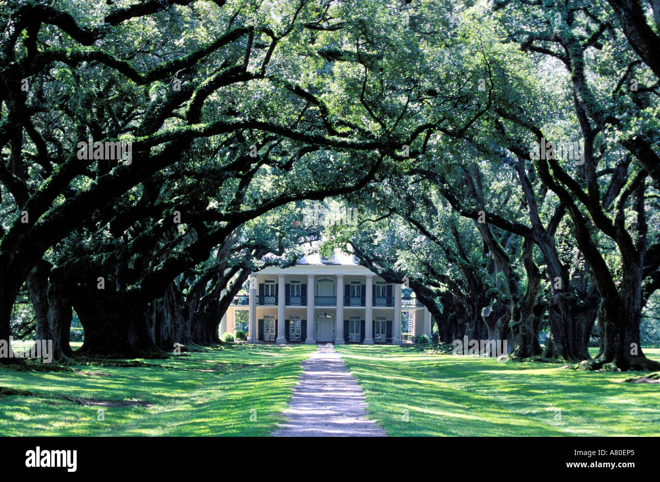 United States, Louisiana, Plantation Road (n°18), la Vacherie, Oak Alley Plantation Stock Photo