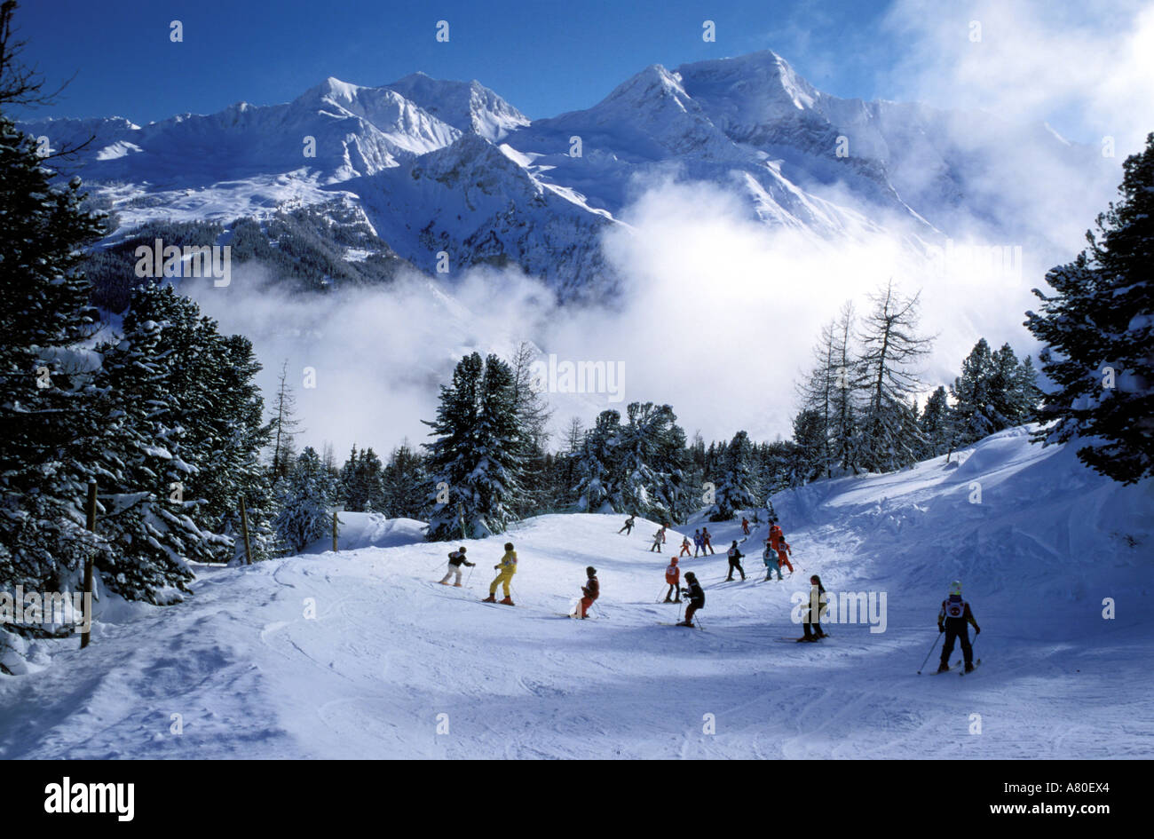 утро на баварией. каникулы в баварии. тьяго алькантара с женой. пиво в компании друзей на природе. линденберг бавария.