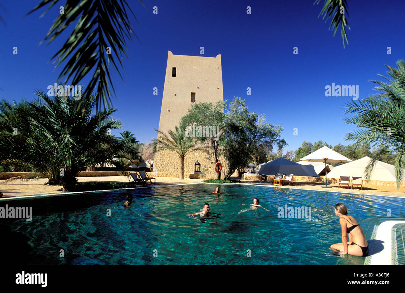 Tunisia, Southern Tunisia, Ksar Ghilane oasis, Pansea Hotel Stock Photo -  Alamy