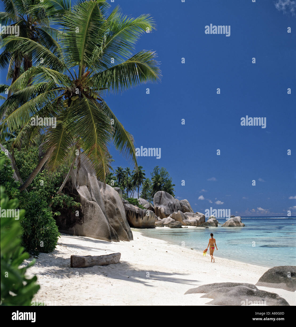 My Image 15