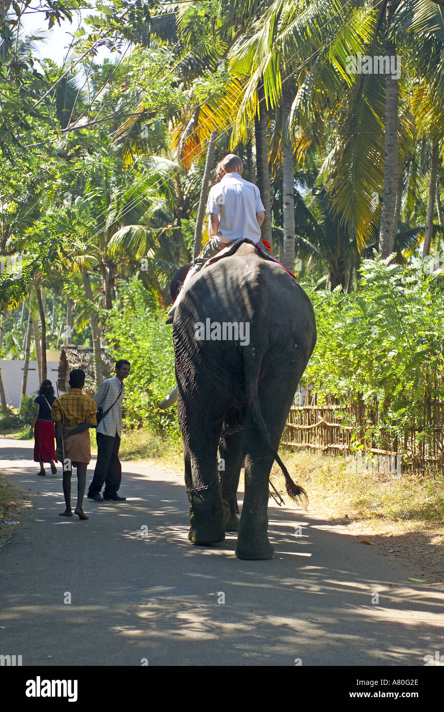 Kerala elephant hires stock photography and images Alamy