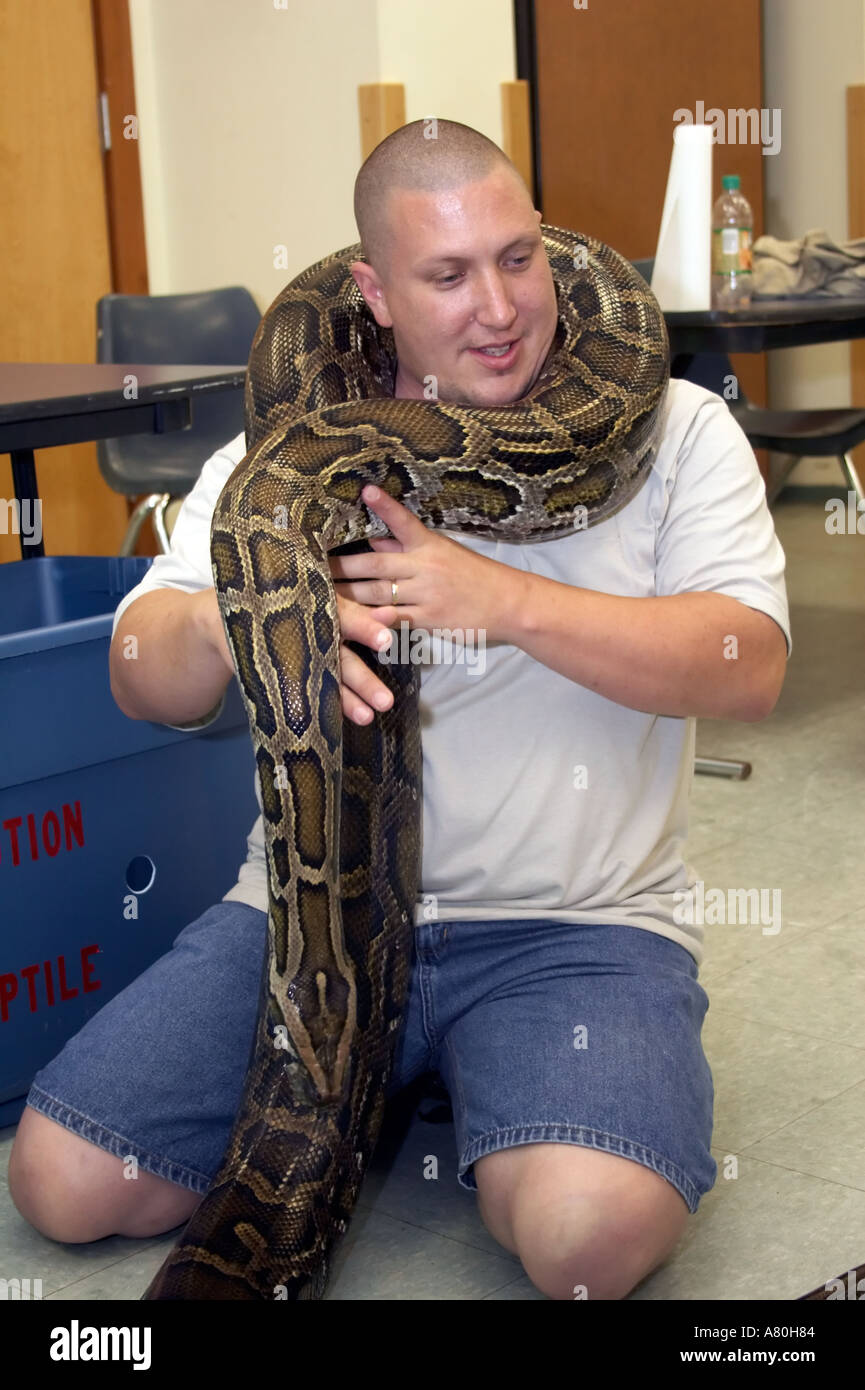 Burmese american usa hi-res stock photography and images - Alamy