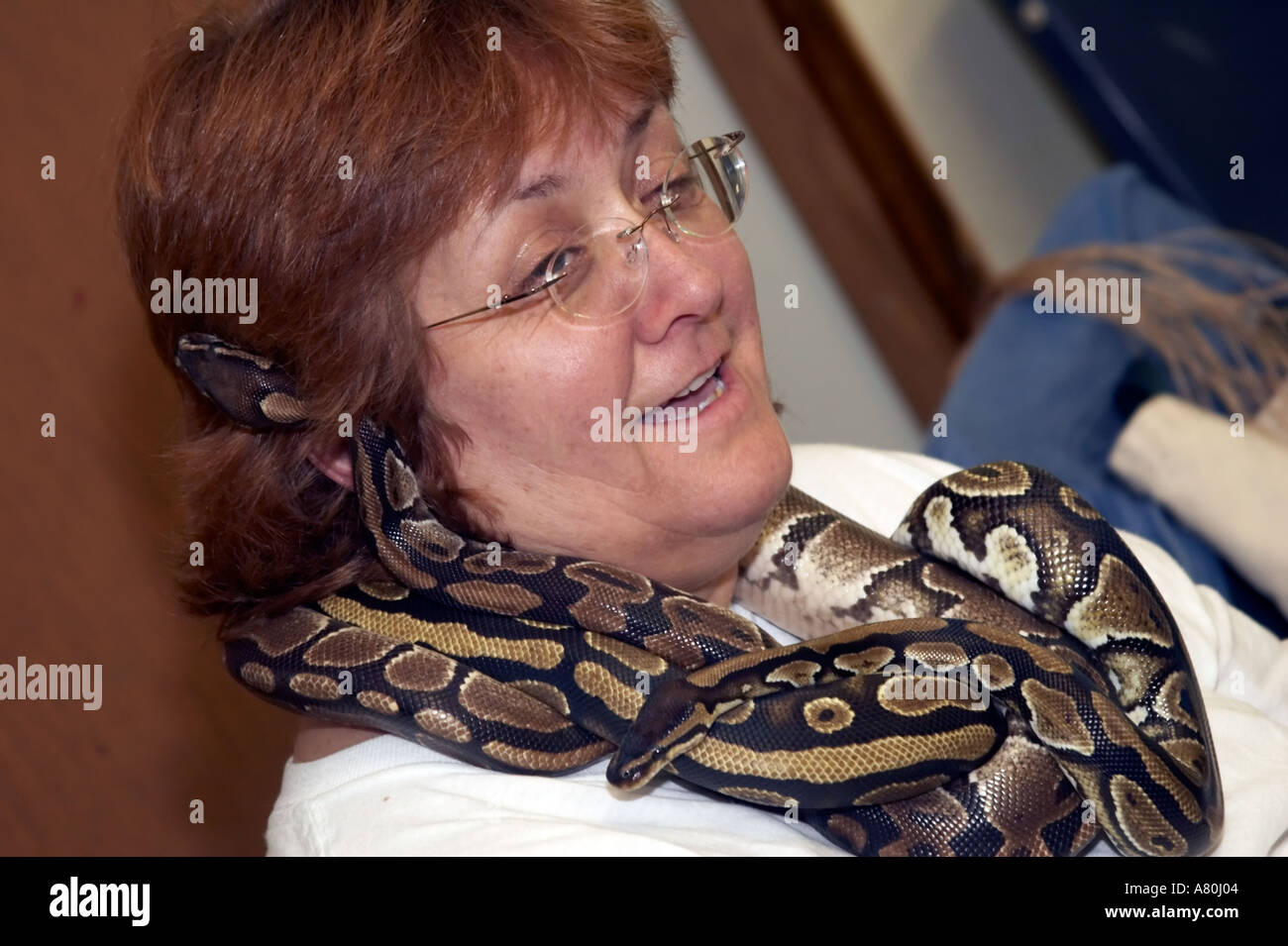 Snake owner with two ball python snakes wrapped around her neck Stock Photo